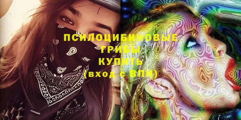 Псилоцибиновые грибы Psilocybine cubensis  как найти закладки  Нефтегорск 